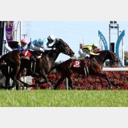 西村淳はこれが重賞初勝利