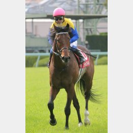 昨年の勝ち馬ユーキャンスマイルは武豊とのコンビ