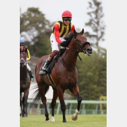 芙蓉Sを快勝