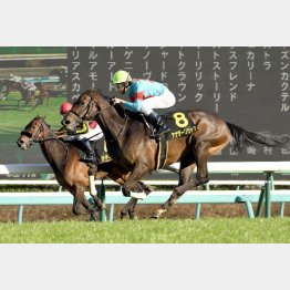 1分34秒8は古馬オープンと0秒4差