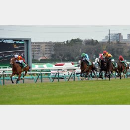 15年は12番人気のアースライズが②着