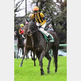 中山牝馬Sで2週連続の重賞V