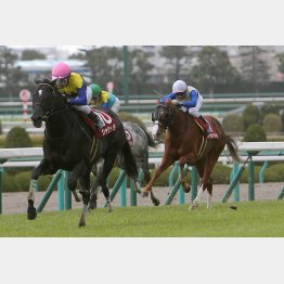 19年は1人→6人→10人で3連単8万7820円