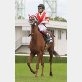 りんどう賞で2連勝