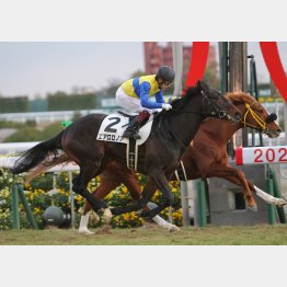 2勝クラスは1戦でクリア