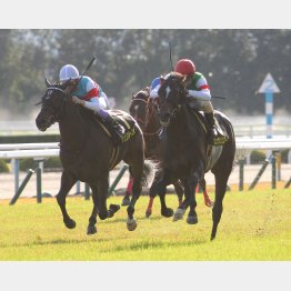リステッドの萩Sで2勝目
