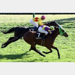 秋陽ジャンプSでオープン初勝利