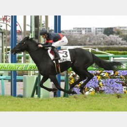 初勝利も中山だった