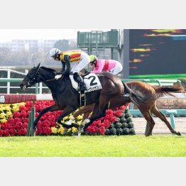 鮮やかな差し脚で未勝利勝ち