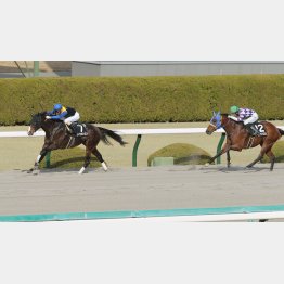 橿原Sは復調を示す②着