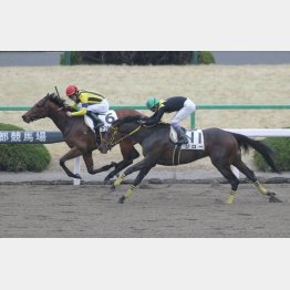 未勝利は京都で逃げ切りV