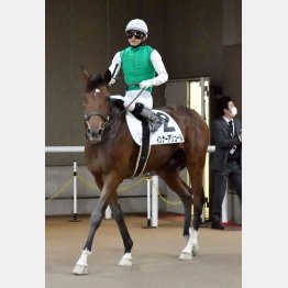 若武者・原と好相性のインナーアリュール