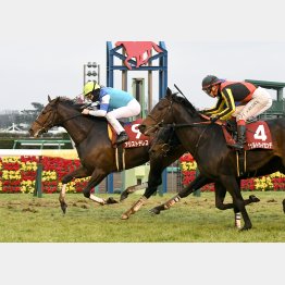 不良馬場のアメリカJCCを快勝