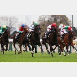 2走前はのちの重賞2勝馬に善戦
