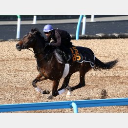 1週前はウッドを軽快に