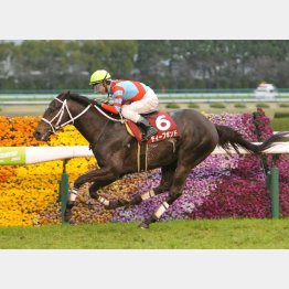 5馬身差の圧勝