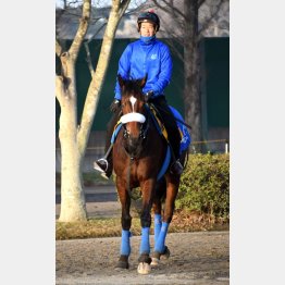 中間も順調
