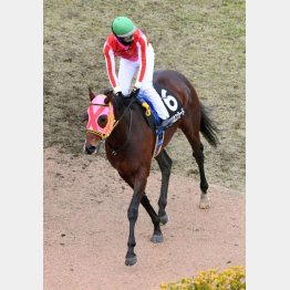 アレキサンドライトSで3連勝