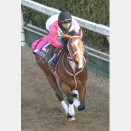 今週は11秒9