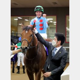 NHKマイルCで3歳マイル王