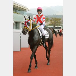 春風Sはガンケンで勝負