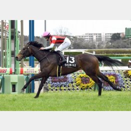 前走は正攻法から上がり最速をマーク