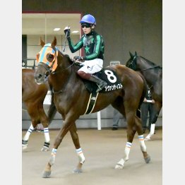 ベスト舞台だ