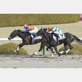 未勝利勝ちはダートでも