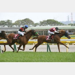 昨春のフローラSを好時計勝ち