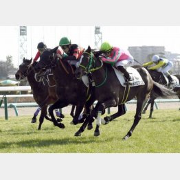 不向きな条件でも新馬Ⅴ
