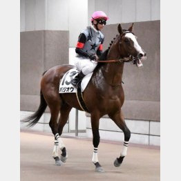 三度目の正直で初勝利
