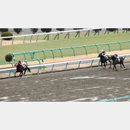 前走は1分51秒1の好時計V