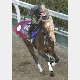最終追いは坂路で軽快