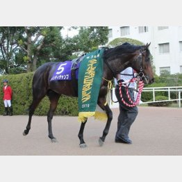 マイルCS以来のGⅠ3勝目を