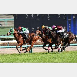 前走は出負けながらも勝ち馬とはタイム差なしの③着