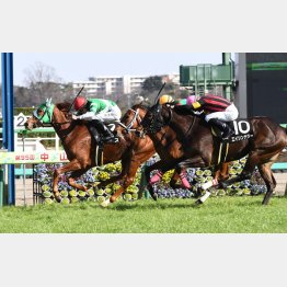 前走③着でクラスにメド(右)/