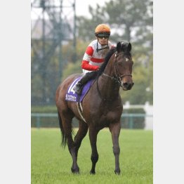 ①着ダノンスマッシュ(川田騎手)「GⅠ馬として国内のタイトルを取ることができてうれしい」