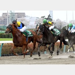 ①着レピアーウィット(石橋騎手)「数を使っていないのでまだ良くなる」