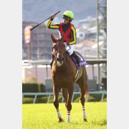 昨年は牝馬ラッキーライラックが勝利