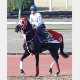 中間も順調そのもの