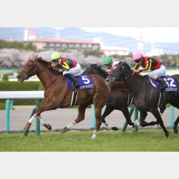昨年は5歳ラッキーライラックがV