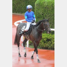 同じ舞台の天保山Sを快勝