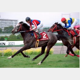 2枠の勝利は01年トーホウドリームが最後