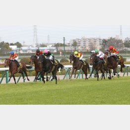 すみれSで③着(右から2頭目)