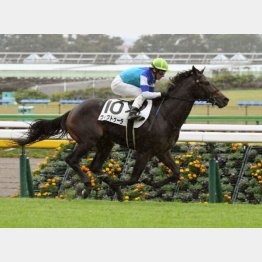 昨秋の新馬戦を快勝