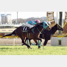 節分Sで3勝クラスを卒業