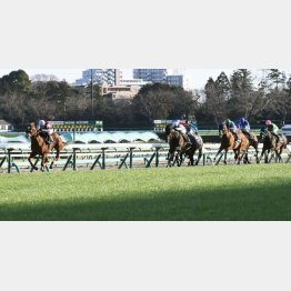 幕張Sは完勝