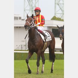 距離延長はプラス