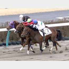 前走はこの舞台で首差②着