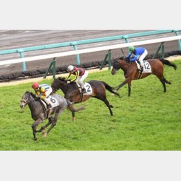 骨折明けの前走を快勝